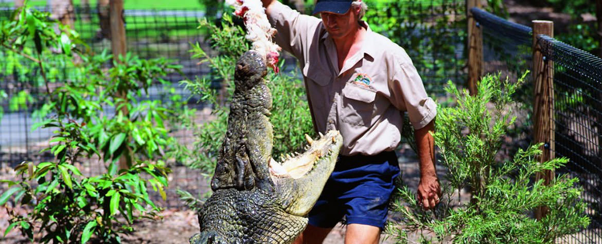 Hartleys Crocodile Adventures