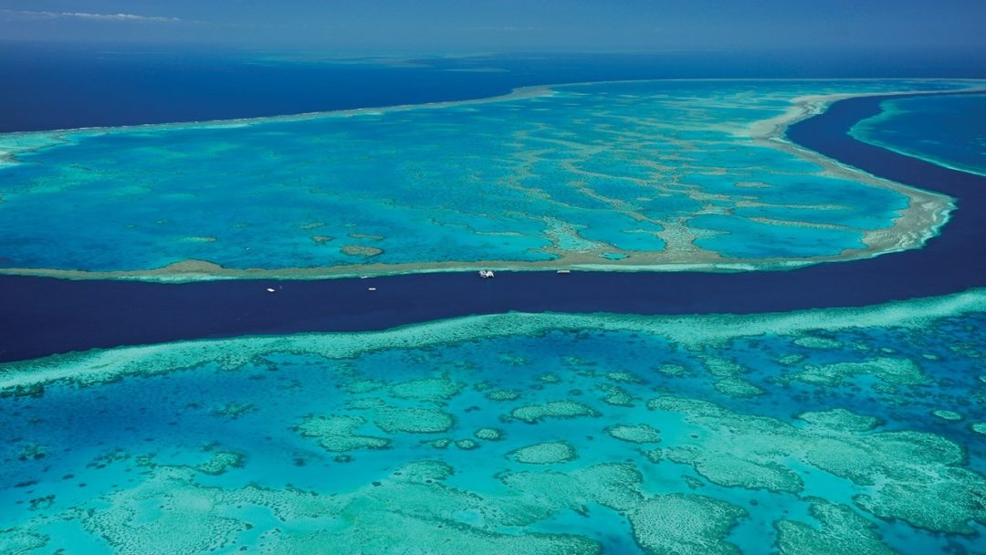 Best Dive Sites in the Great Barrier Reef | Great Barrier Reef Australia