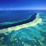 Which Spot in the Great Barrier Reef is Best?