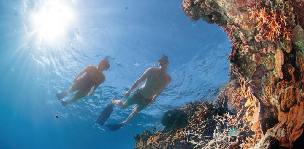 Snorkelling at the Great Barrier Reef | Great Barrier Reef Australia