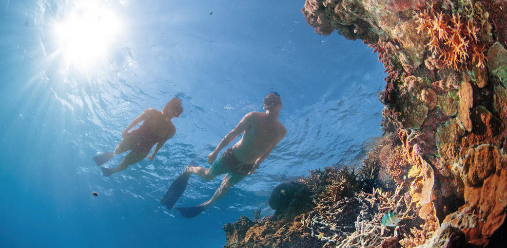 Best Dive Sites in the Great Barrier Reef