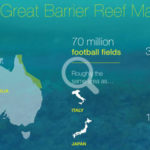 Which Spot in the Great Barrier Reef is Best?